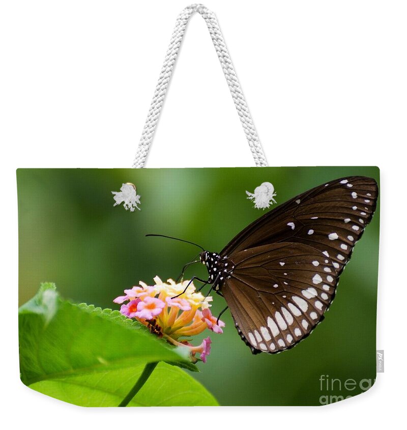 Butterfly Weekender Tote Bag featuring the photograph Butterfly #1 by Fotosas Photography
