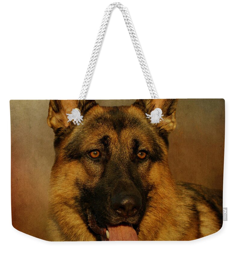 Dog Weekender Tote Bag featuring the photograph Chance #1 by Sandy Keeton