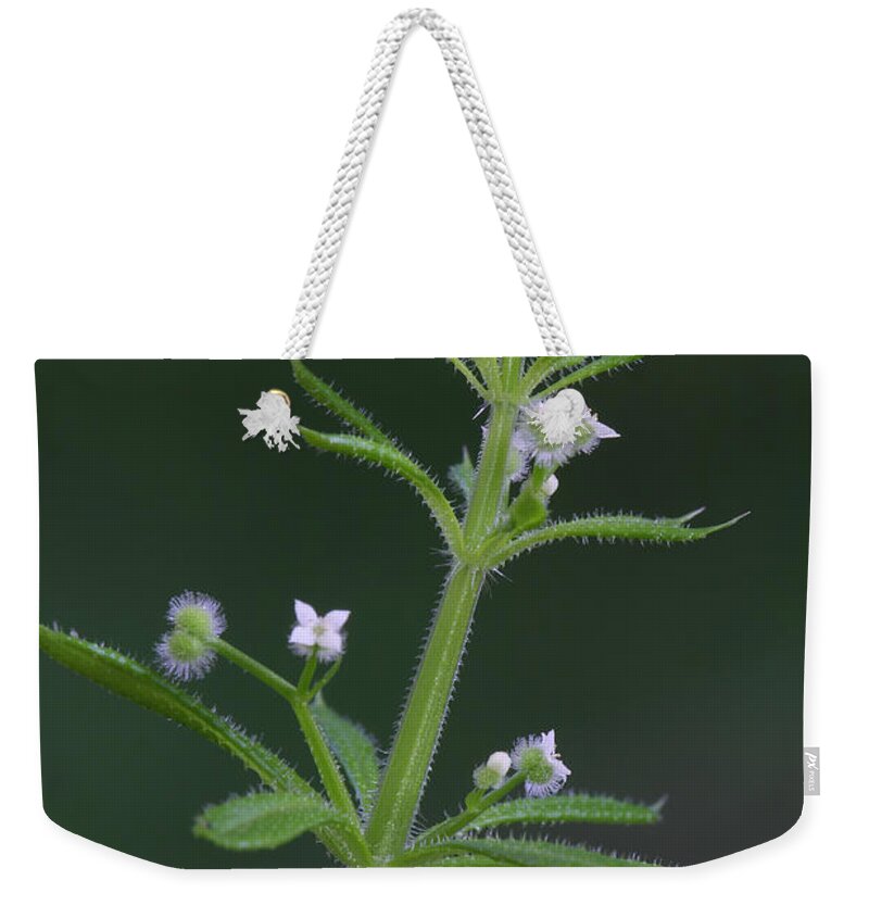 Cleavers Weekender Tote Bag featuring the photograph Cleavers by Daniel Reed