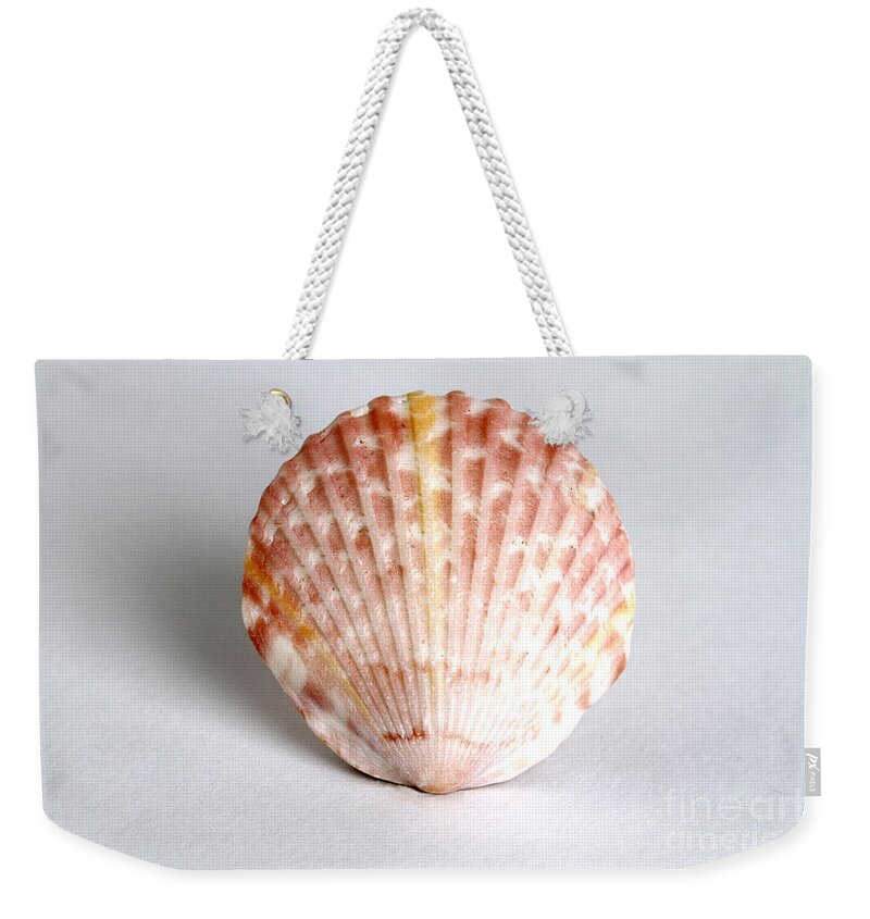 Nature Weekender Tote Bag featuring the photograph Cockle Shell by Photo Researchers