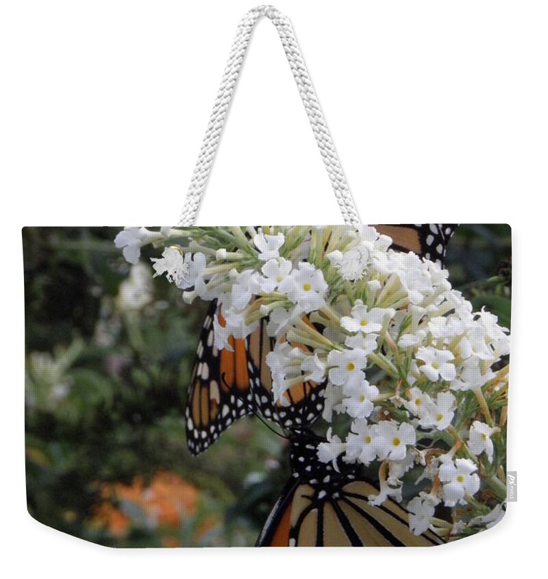Monarch Weekender Tote Bag featuring the photograph Double Beauty by Kim Galluzzo Wozniak