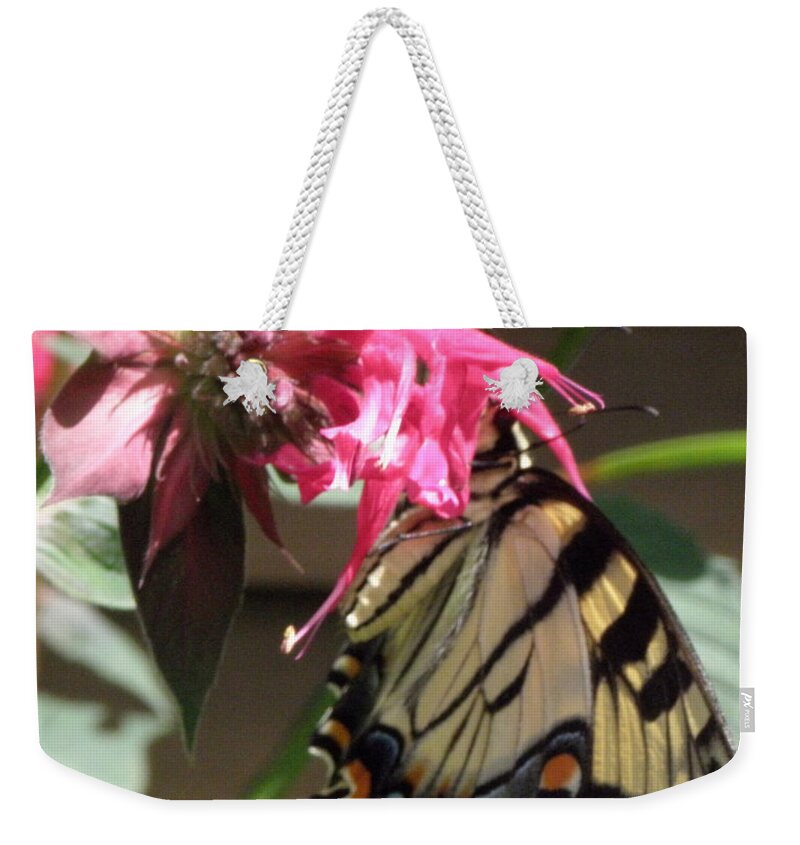 Butterfly Weekender Tote Bag featuring the photograph Eastern Yellowtail #1 by Kim Galluzzo