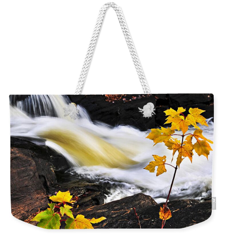 Autumn Weekender Tote Bag featuring the photograph River flowing through fall forest by Elena Elisseeva