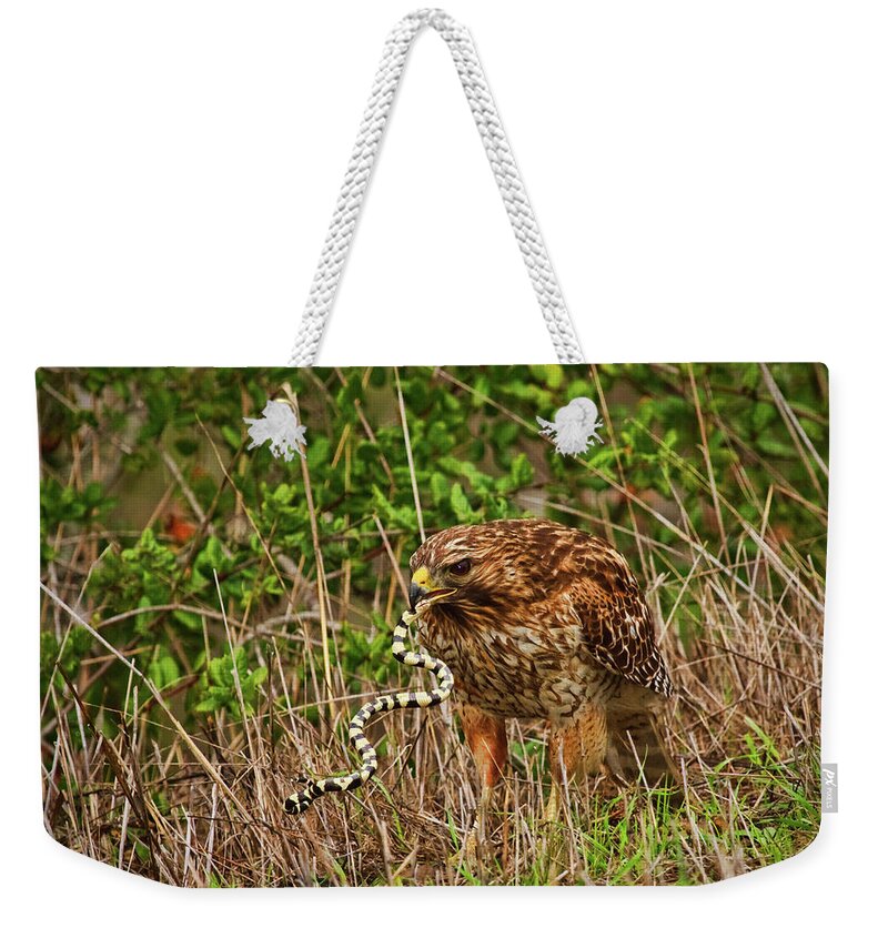 Red Shouldered Hawk Weekender Tote Bag featuring the photograph Hawk and Snake #1 by Beth Sargent