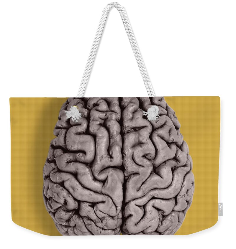 Brain Weekender Tote Bag featuring the photograph Human Brain #1 by Omikron