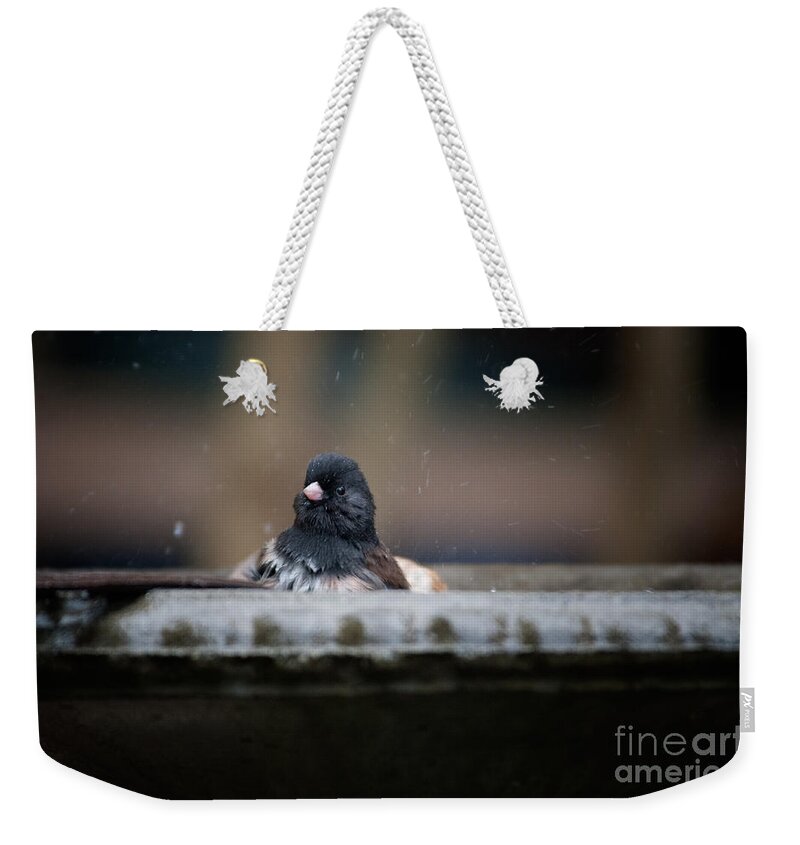 Animals Weekender Tote Bag featuring the digital art Junco in the Birdbath #1 by Carol Ailles
