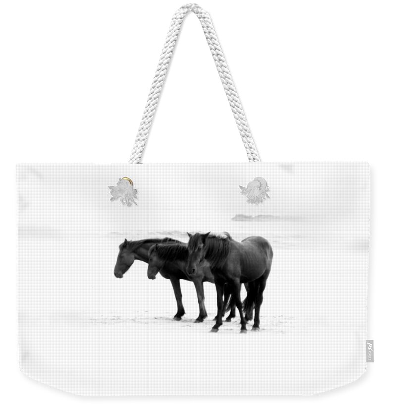 Wild Weekender Tote Bag featuring the photograph Keep them Wild and Free #1 by Kim Galluzzo