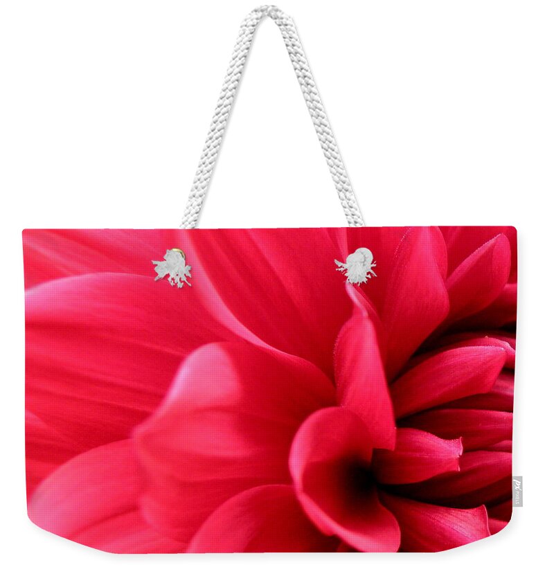 Dahlia Weekender Tote Bag featuring the photograph Like My Profile #1 by Kim Galluzzo
