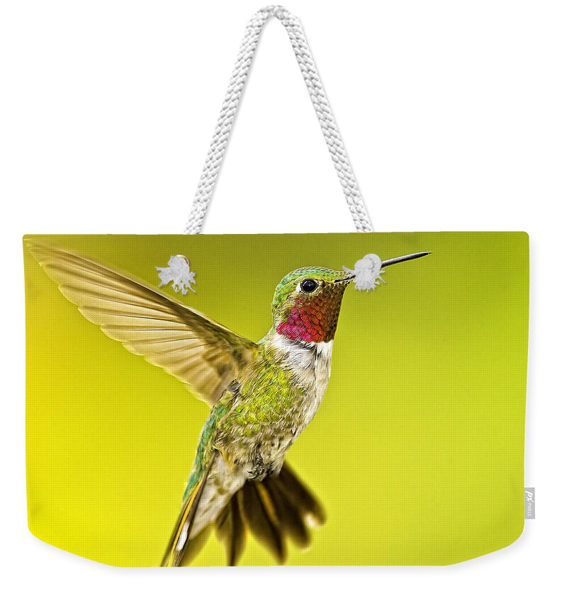 Bird Weekender Tote Bag featuring the photograph Male Broad-tailed Hummingbird #1 by Fred J Lord
