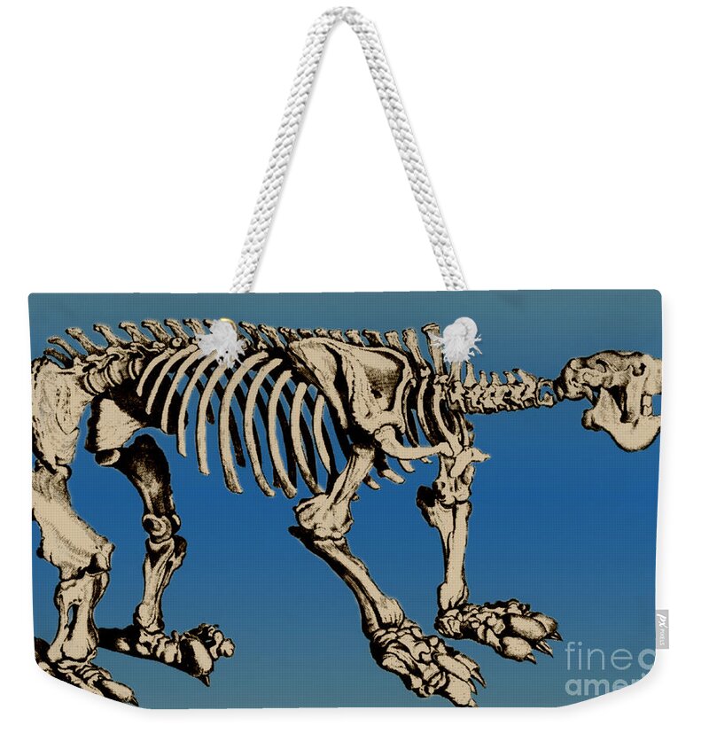 History Weekender Tote Bag featuring the photograph Megatherium Extinct Ground Sloth #4 by Science Source