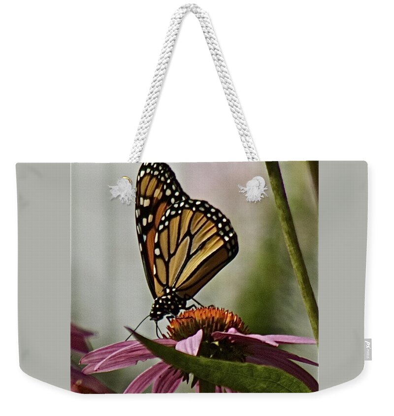 Monarch Butterfly Weekender Tote Bag featuring the photograph Monarch Butterfly by Suanne Forster