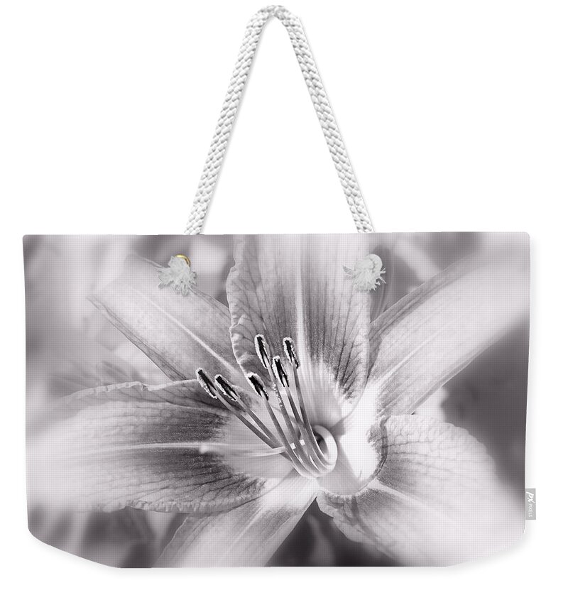 Flower Weekender Tote Bag featuring the photograph Morning Stretch #1 by Adam Vance