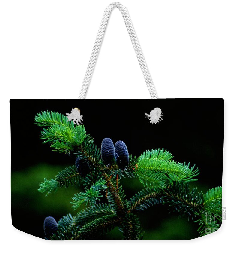 Pine Cones Weekender Tote Bag featuring the photograph Mountain Life by Sharon Elliott