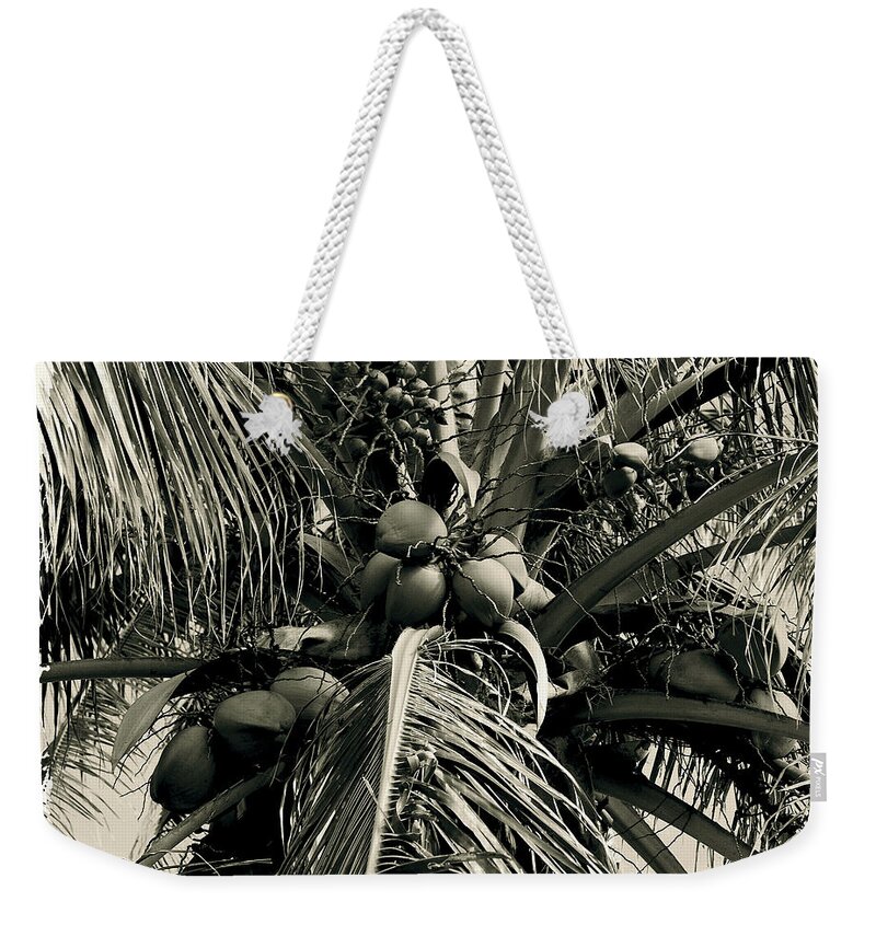 Palm Weekender Tote Bag featuring the photograph Palm 1 #1 by Michael Peychich