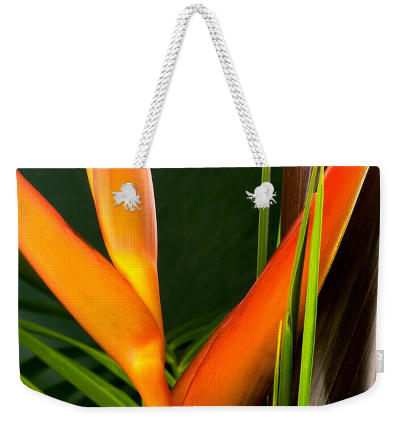 Flowers Weekender Tote Bag featuring the photograph Photograph of a Parrot Flower Heliconia #1 by Perla Copernik