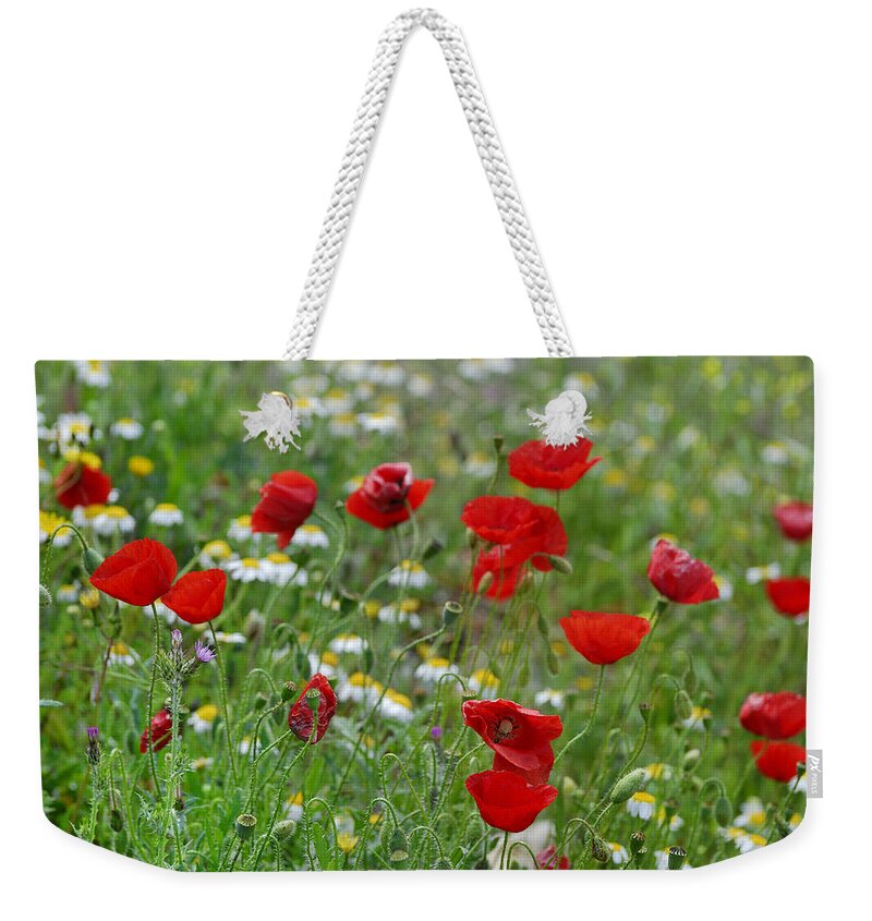 Poppy Weekender Tote Bag featuring the photograph Poppies #1 by Guido Montanes Castillo