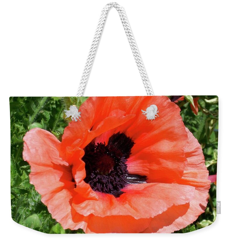 Poppy Weekender Tote Bag featuring the photograph Poppy #1 by Quin Sweetman