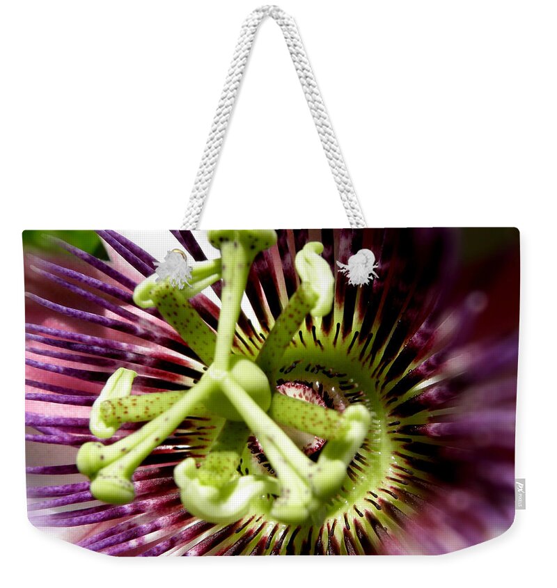 Passion Flower Weekender Tote Bag featuring the photograph Purple Passion #1 by Kim Galluzzo