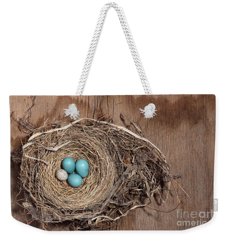 American Robin Weekender Tote Bag featuring the photograph Robins Nest And Cowbird Egg #1 by Ted Kinsman