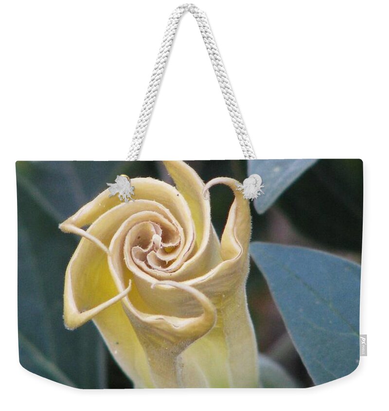 Sacred Datura Weekender Tote Bag featuring the photograph Sacred Datura by Michele Penner