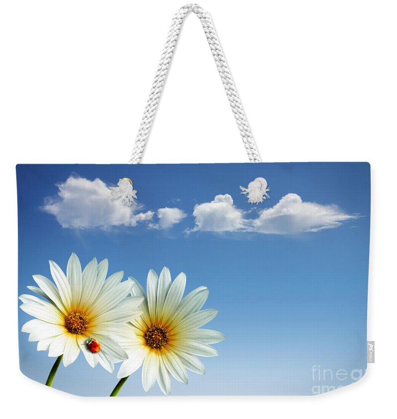 Air Weekender Tote Bag featuring the photograph Spring Flowers #1 by Carlos Caetano