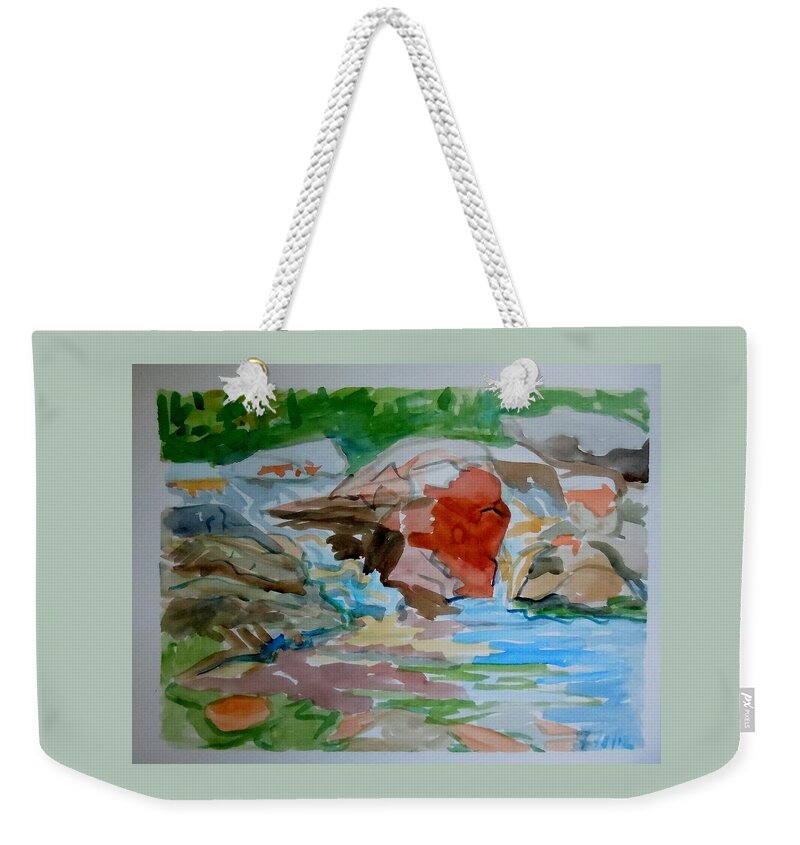Maine Weekender Tote Bag featuring the painting Surry Falls by Francine Frank