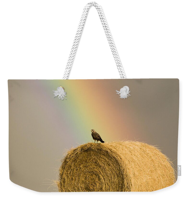 Hawk Weekender Tote Bag featuring the photograph Swainson Hawks on Hay Bale #1 by Mark Duffy