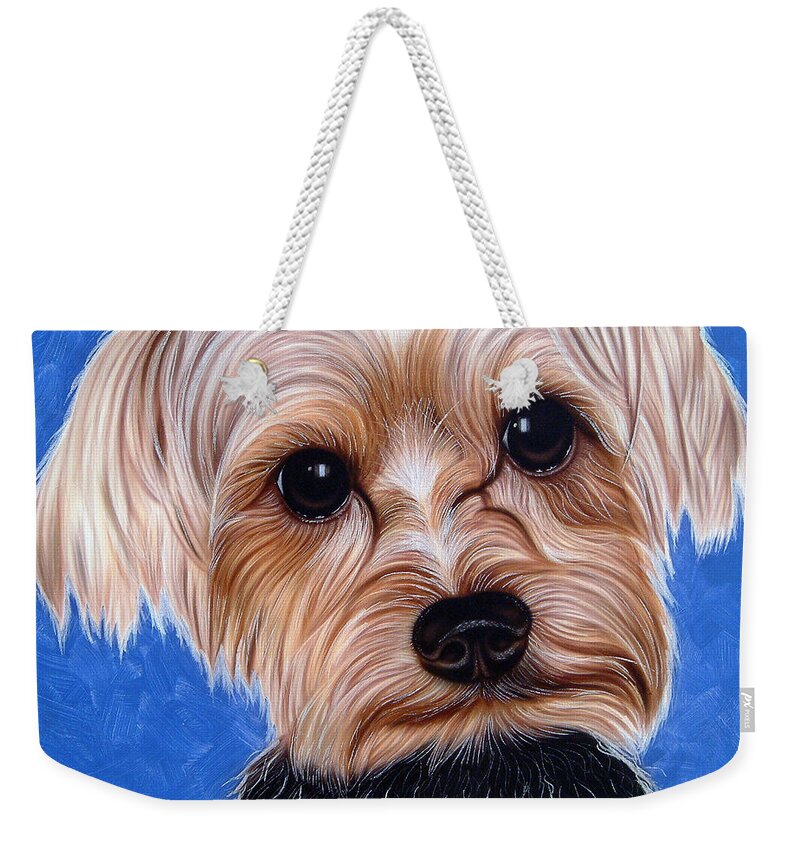 Small Dogs/toy Dogs/dogs/small Pets/cute Weekender Tote Bag featuring the painting Terrier #1 by Dan Menta
