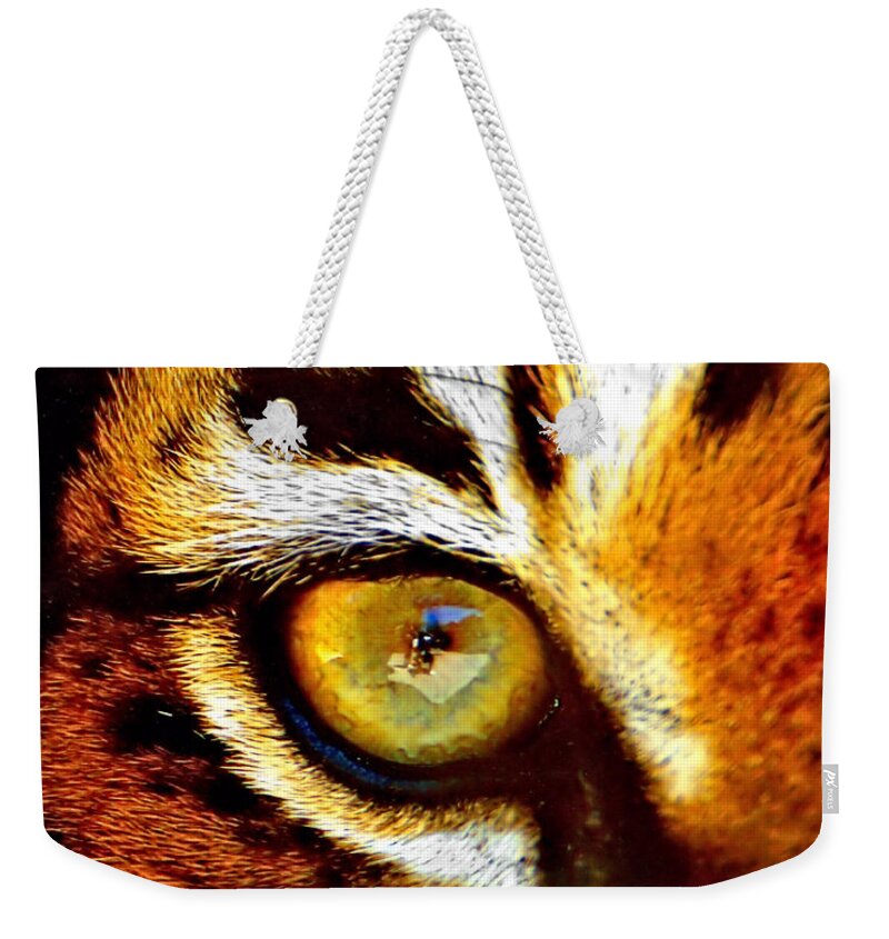 Tiger Weekender Tote Bag featuring the photograph Tigers Eye #1 by Marlo Horne