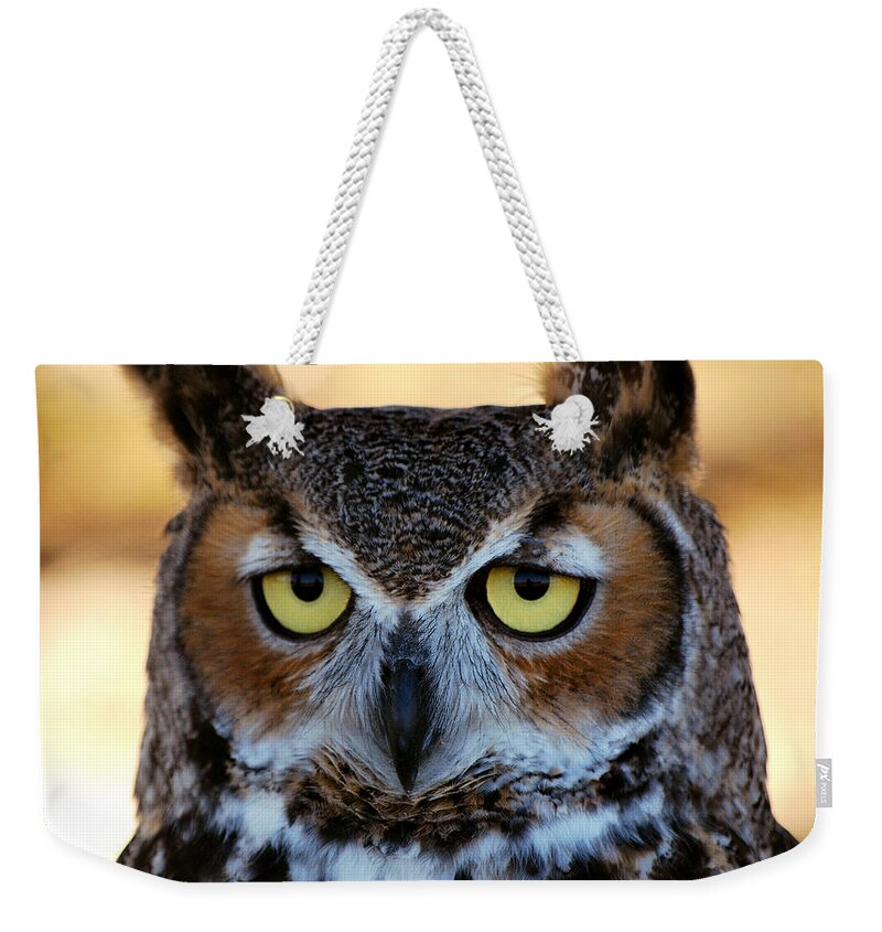 Owl Weekender Tote Bag featuring the photograph Who Me #2 by Adele Moscaritolo