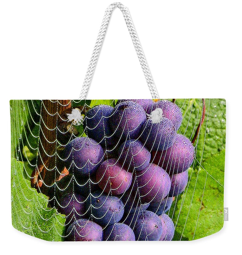 Wine In A Web Weekender Tote Bag featuring the photograph Wine in a web 2 by Jean Noren