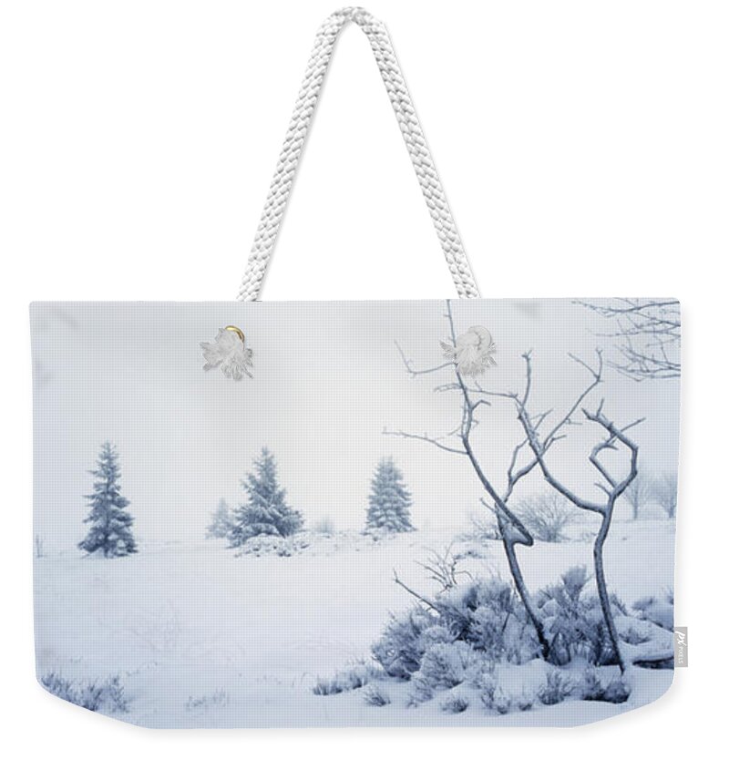 Moorland Weekender Tote Bag featuring the photograph Winter on the moor by Ulrich Kunst And Bettina Scheidulin