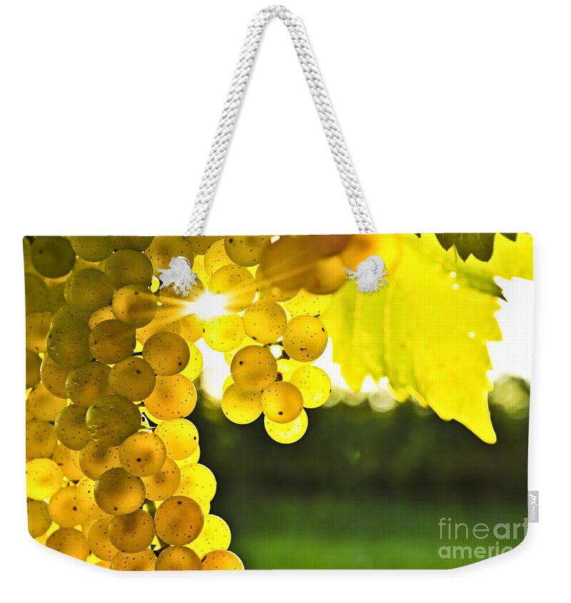 Grape Weekender Tote Bag featuring the photograph Yellow grapes in low sun by Elena Elisseeva