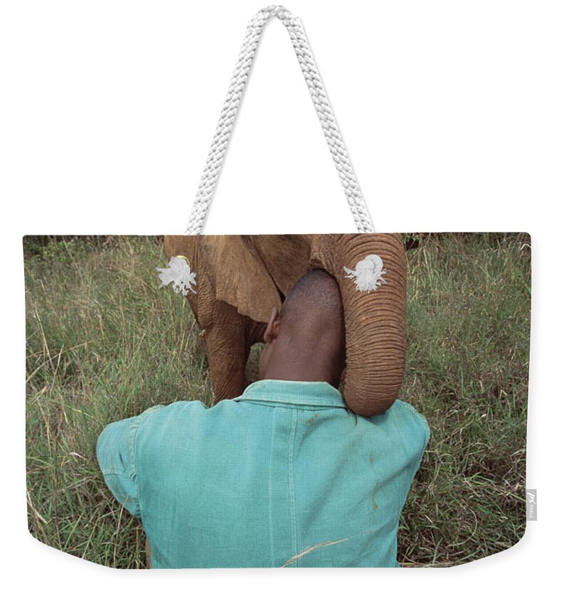 Mp Weekender Tote Bag featuring the photograph African Elephant Loxodonta Africana #10 by Gerry Ellis