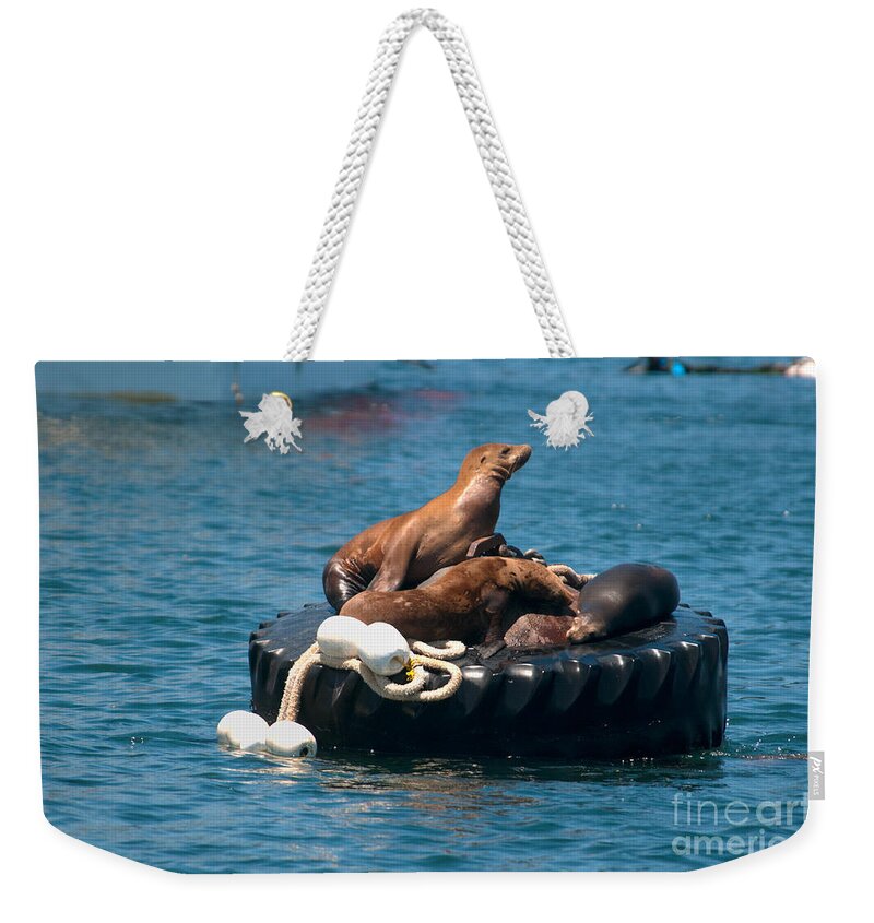 California Weekender Tote Bag featuring the digital art Monterey Harbour #11 by Carol Ailles