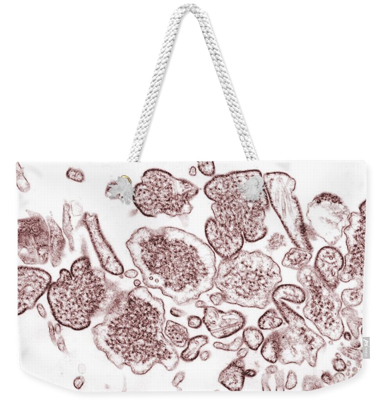 Biological Terrorism Weekender Tote Bag featuring the photograph Nipah Virus #12 by Science Source