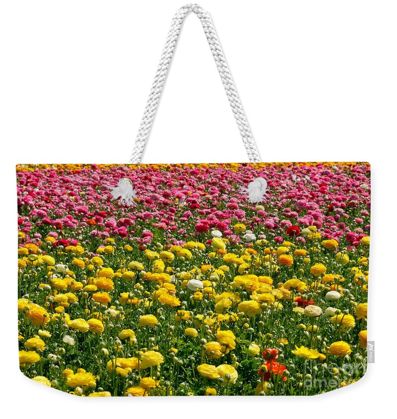Flowers Weekender Tote Bag featuring the photograph Flower Fields #19 by Daniel Knighton