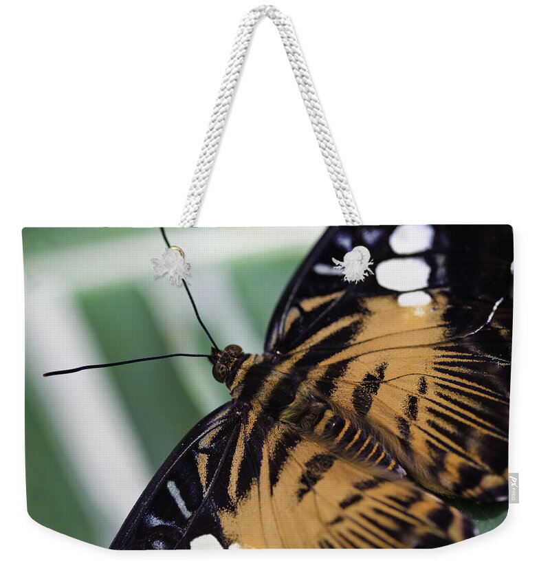 Brown Cliper Weekender Tote Bag featuring the photograph Brown Clipper #2 by Perla Copernik