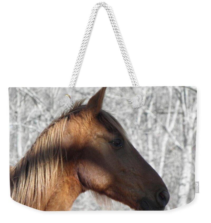 Horse Weekender Tote Bag featuring the photograph Like My Profile by Kim Galluzzo Wozniak