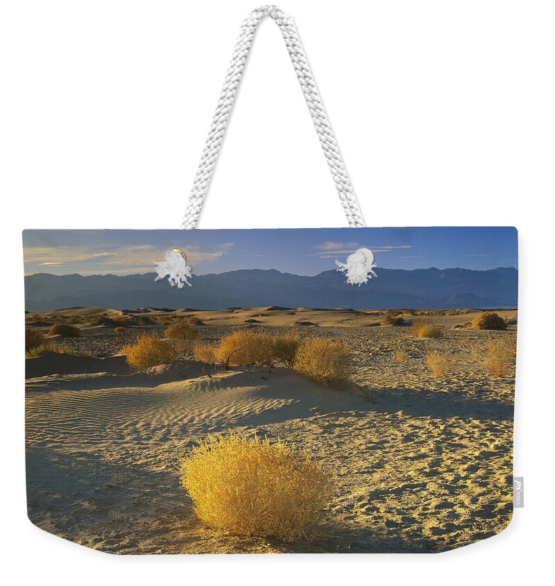 00173155 Weekender Tote Bag featuring the photograph Mesquite Flat Sand Dunes Death Valley #2 by Tim Fitzharris