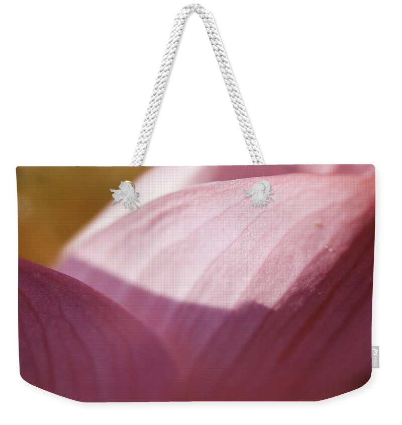 Kenilworth Aquatic Park Weekender Tote Bag featuring the photograph Nelumbo 'Red Scarf' #3 by Perla Copernik