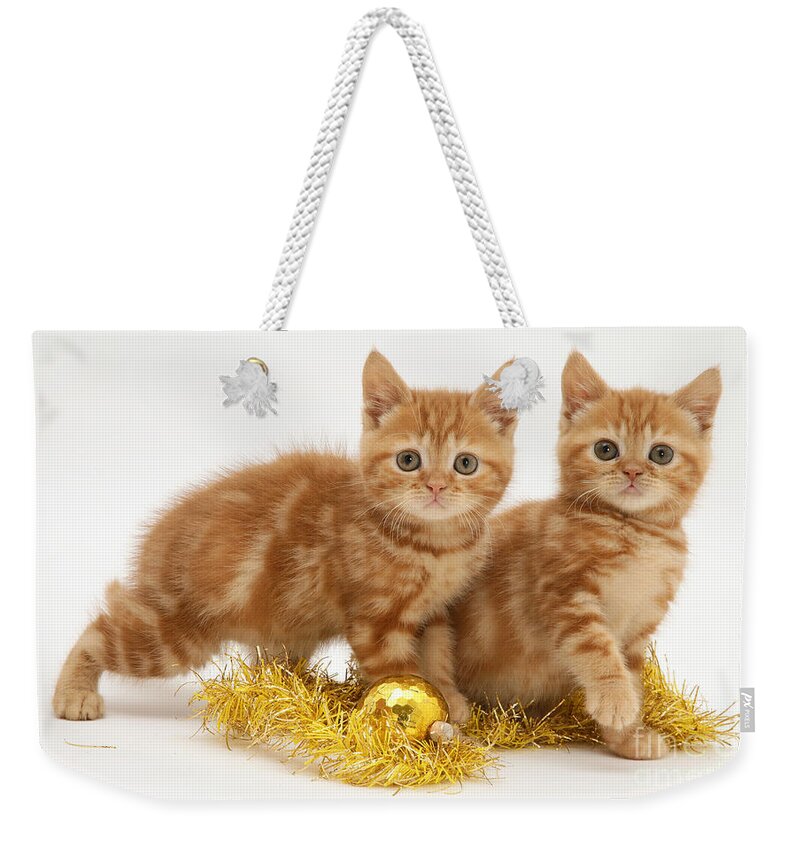 Animal Weekender Tote Bag featuring the photograph Red Tabby Kittens And Tinsel #2 by Jane Burton