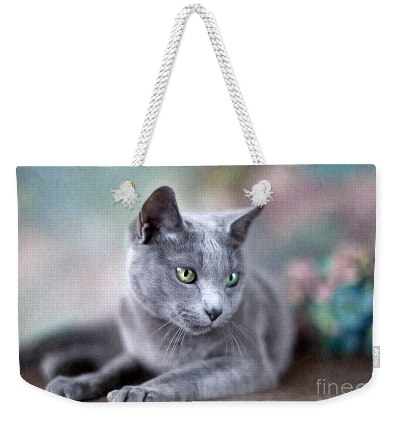 Cat Weekender Tote Bag featuring the painting Russian Blue #2 by Nailia Schwarz