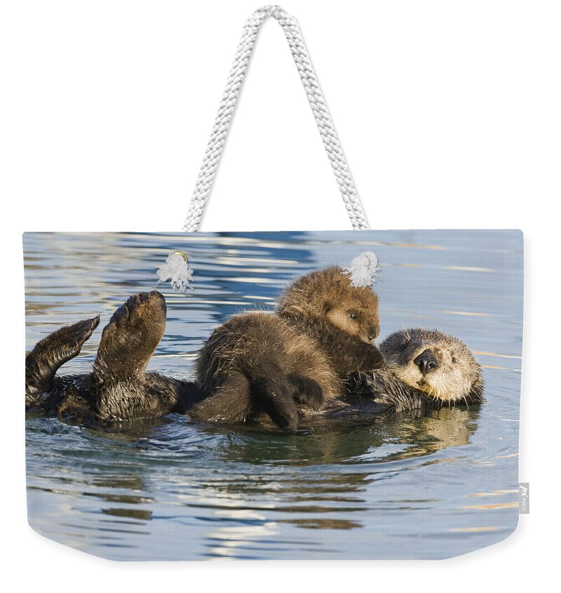 00429659 Weekender Tote Bag featuring the photograph Sea Otter Mother And Pup Elkhorn Slough by Sebastian Kennerknecht