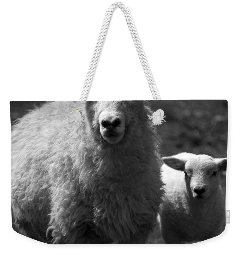 Farm Weekender Tote Bag featuring the photograph Sheep #2 by Svetlana Sewell