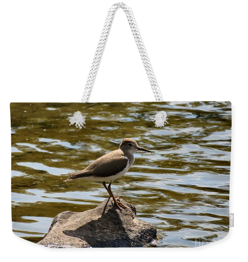 Killdeer Weekender Tote Bag featuring the photograph Wee One #2 by Art Dingo