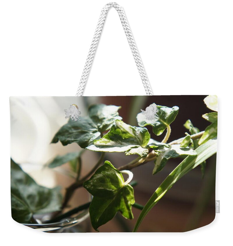 Art Weekender Tote Bag featuring the photograph My room up close 1 #27 by Myron Belfast
