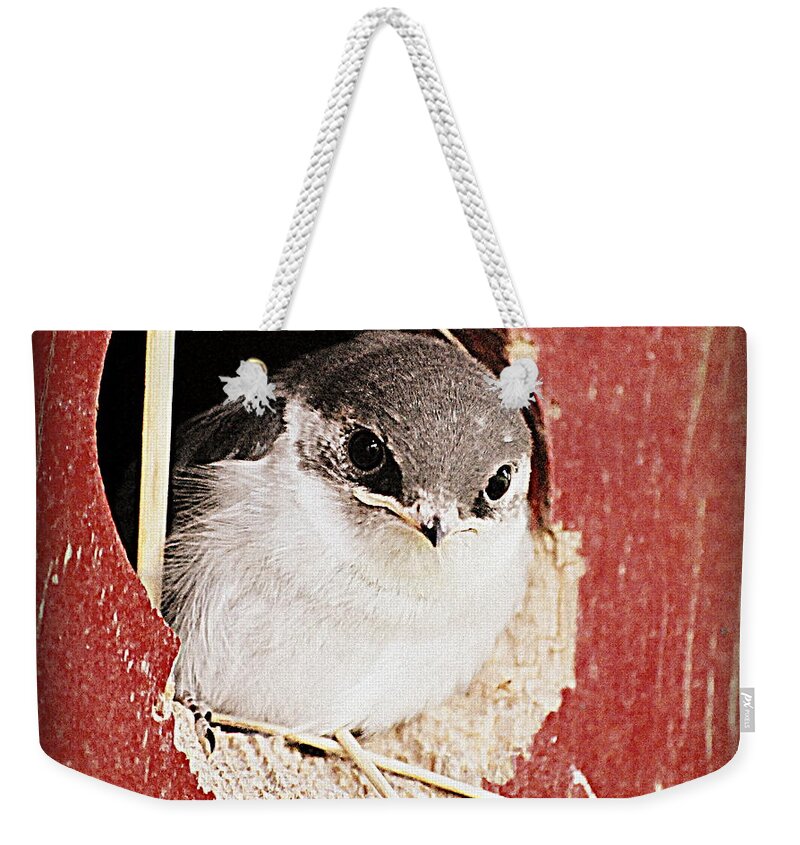 Bird Weekender Tote Bag featuring the digital art Red Barn Birdie #3 by Kathy Sampson