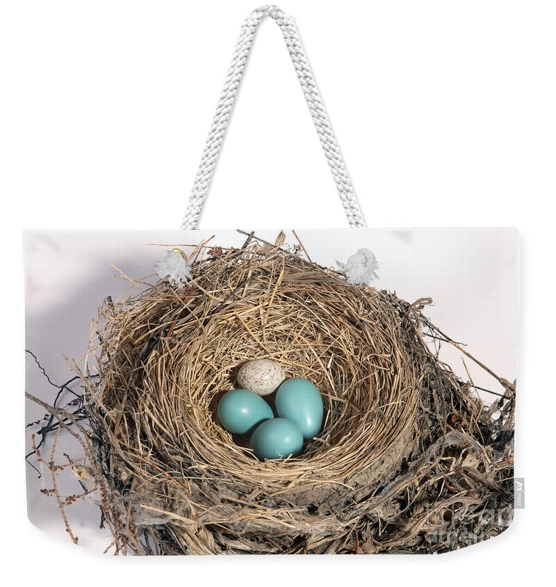 American Robin Weekender Tote Bag featuring the photograph Robins Nest And Cowbird Egg #3 by Ted Kinsman