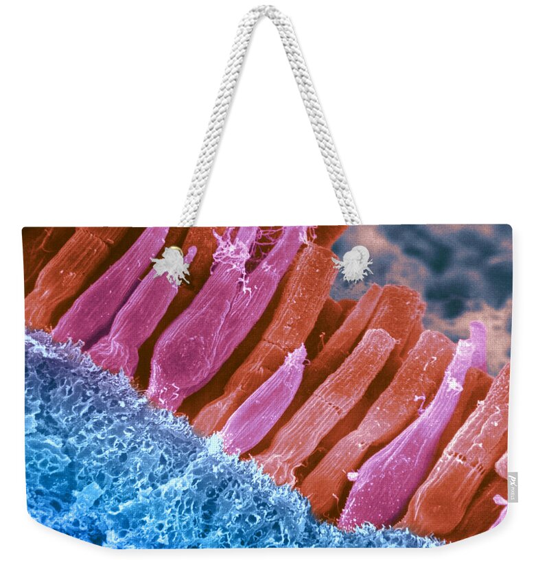 Scanning Electron Micrograph Weekender Tote Bag featuring the photograph Rods And Cones In Retina by Omikron